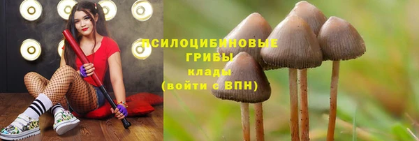 МДПВ Балабаново