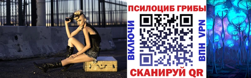 Псилоцибиновые грибы мицелий  Унеча 
